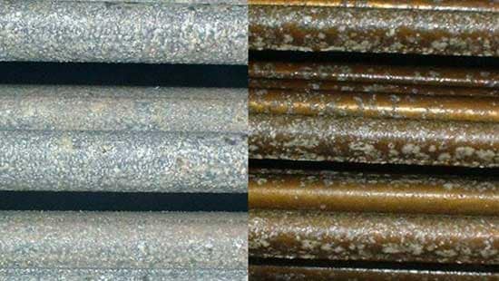 White rust inhibitor